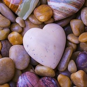 Meet your Posher, Ellie